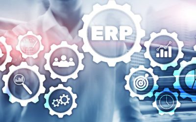 Responsabilidad Ampliada del Productor o ERP: Todo lo que debes saber para cumplir con la normativa