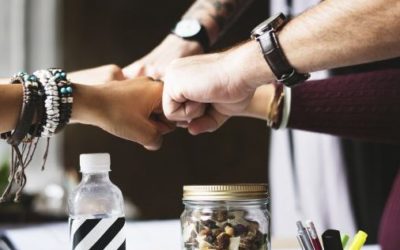 Sociedad Limitada Nueva Empresa