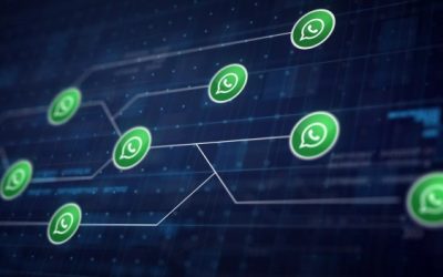 Se considera ilegal, incluir a contactos en grupos de WhatsApp sin consentimiento